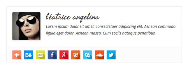 Simple Author Box关于作者小工具