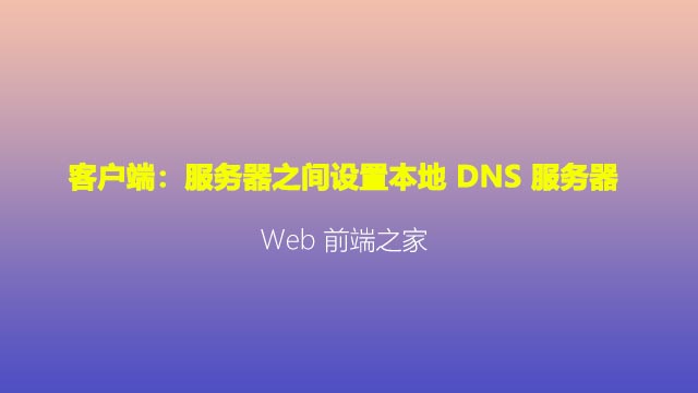 客户端:服务器之间设置本地 DNS 服务器 客户端:服务器之间设置本地 DNS 服务器