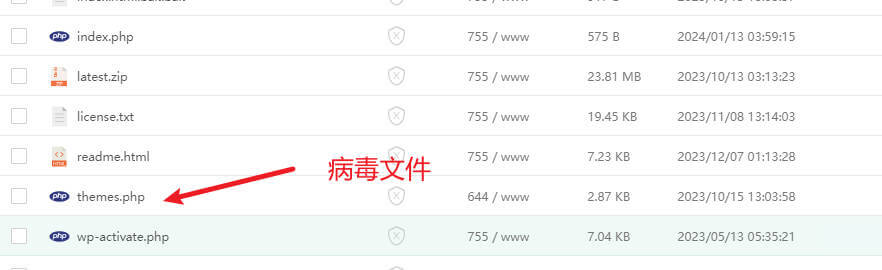 插入的网站病毒文件