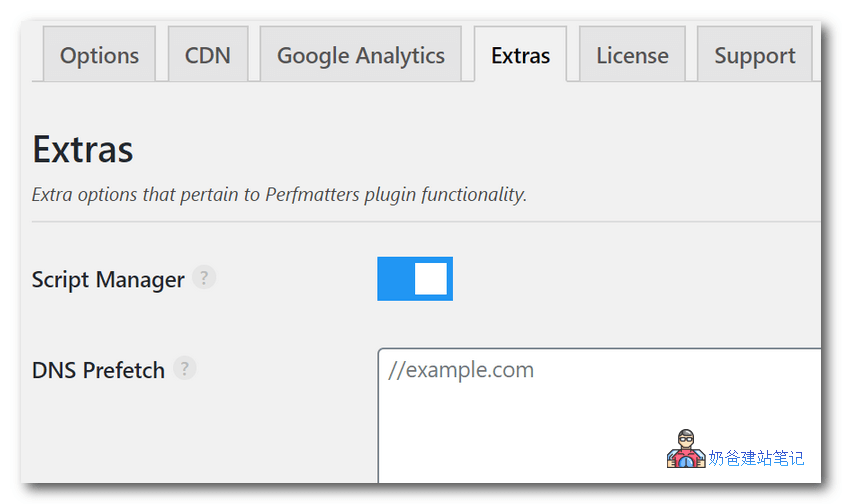 Perfmatters脚本管理