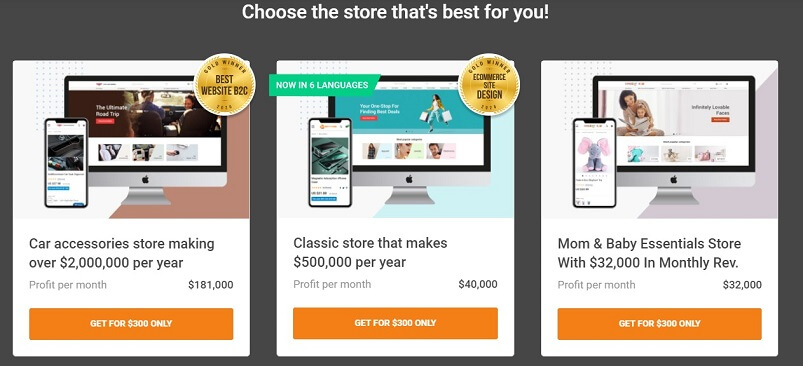 Premium Dropshipping Store 