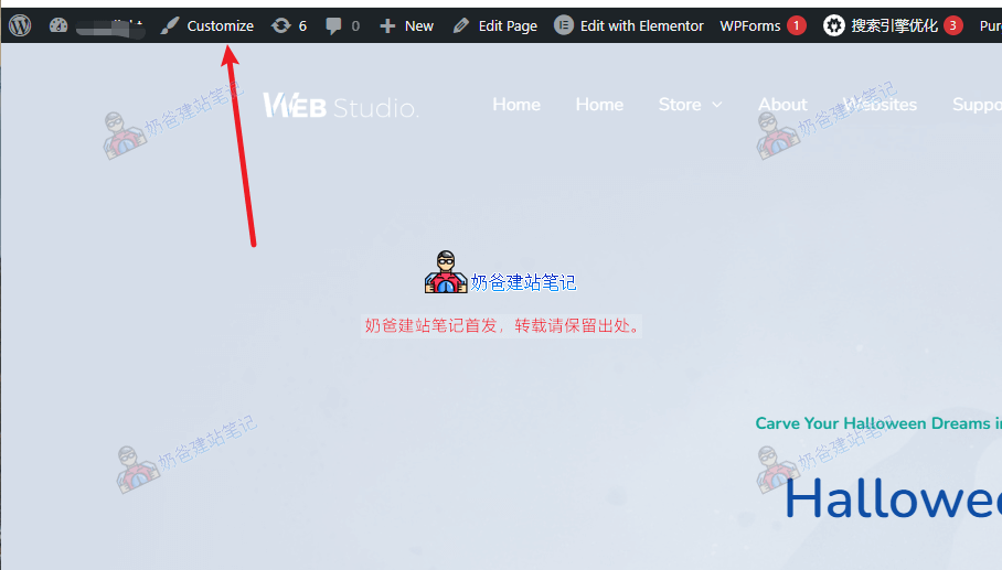 网站主题自定义