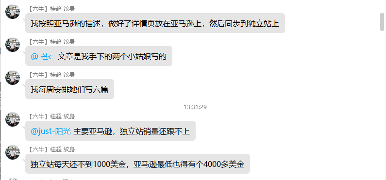 外贸独立站SEO优化群聊天记录