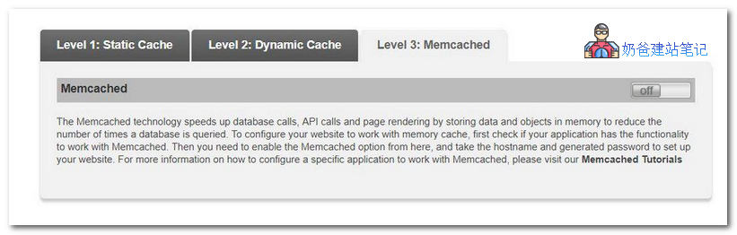 SG Optimizer优化设置