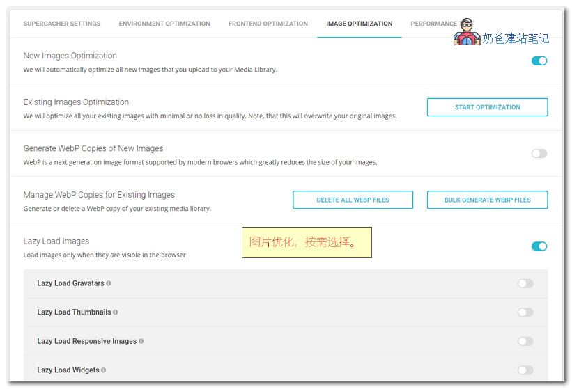 SG Optimizer设置截图
