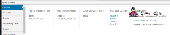 Query Monitor使用说明
