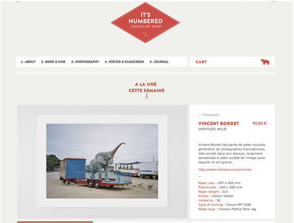 Image Sliders in Web Design Image Sliders in Web Design